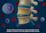 design scientific covers and graphical abstracts